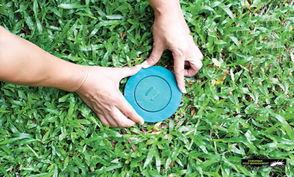 best pest control Sydney