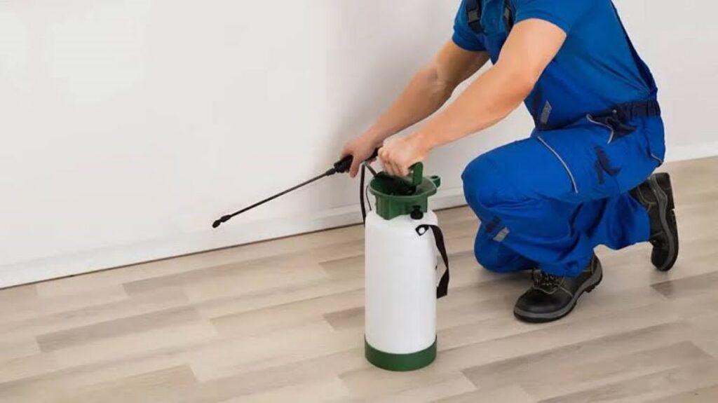 pest control termite