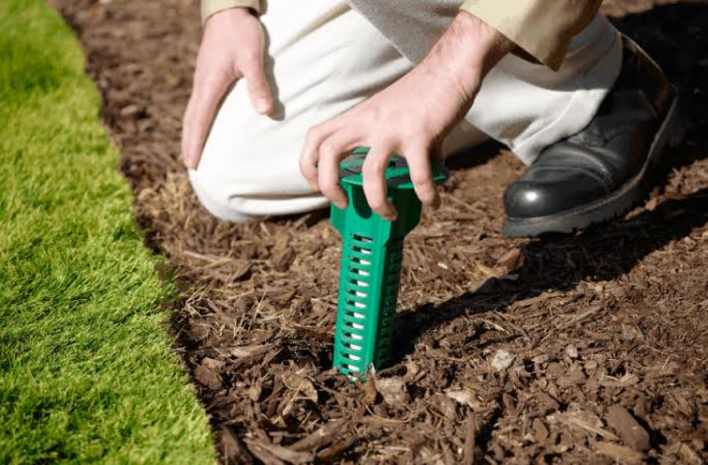 best pest control Sydney